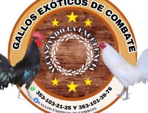 Gallos Exóticos De Combate
